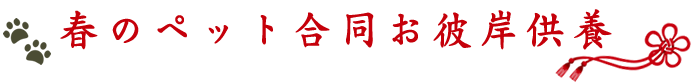 厄除けのご祈祷・厄除けのお札の郵送について